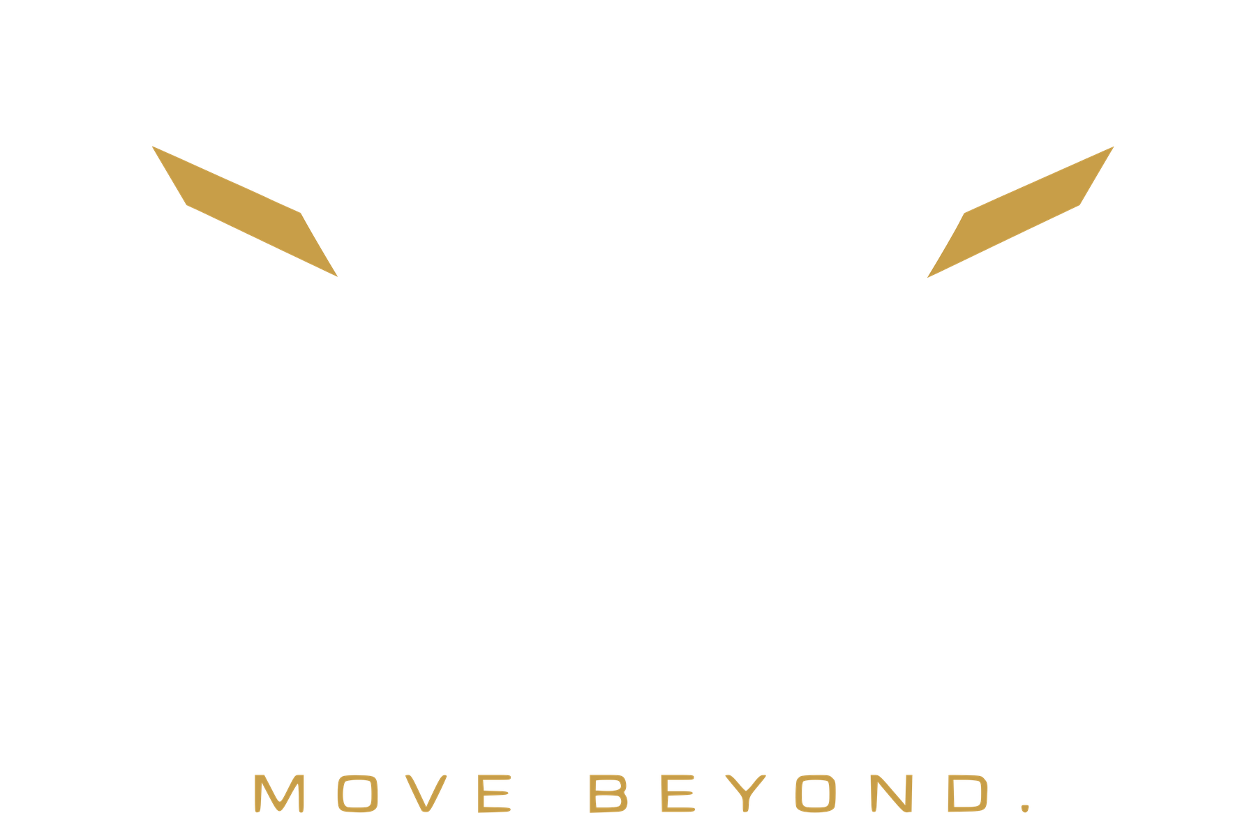 WELOKO — Move Beyond