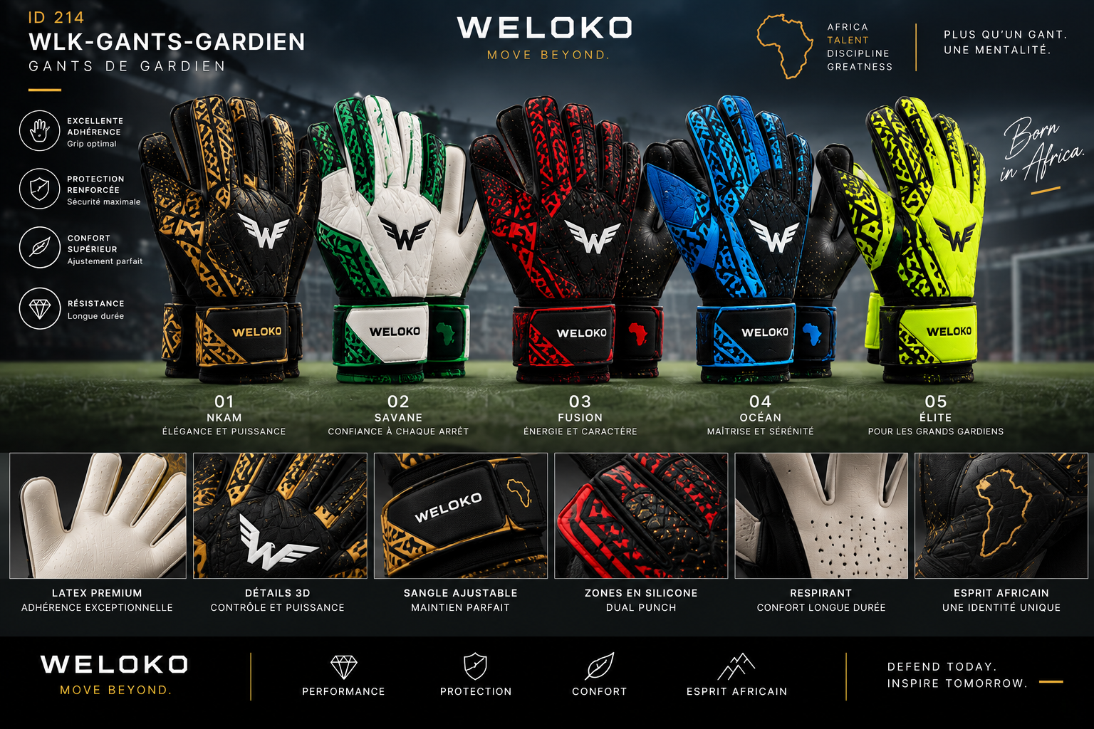 WELOKO Equipment
