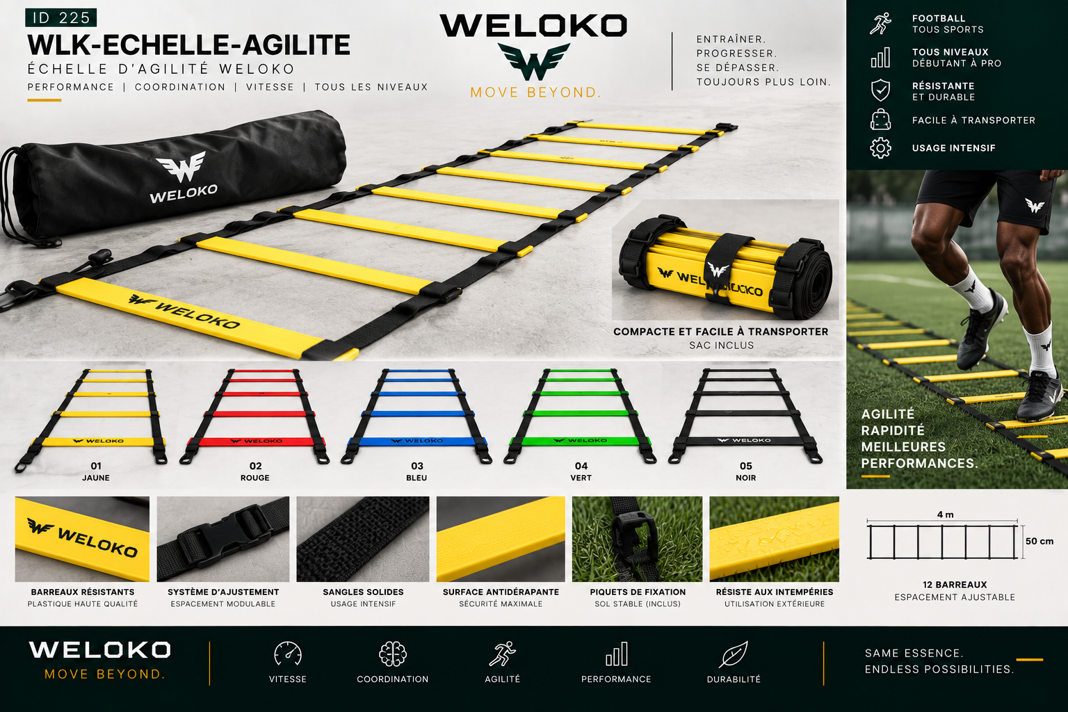 Échelle d'agilité WELOKO